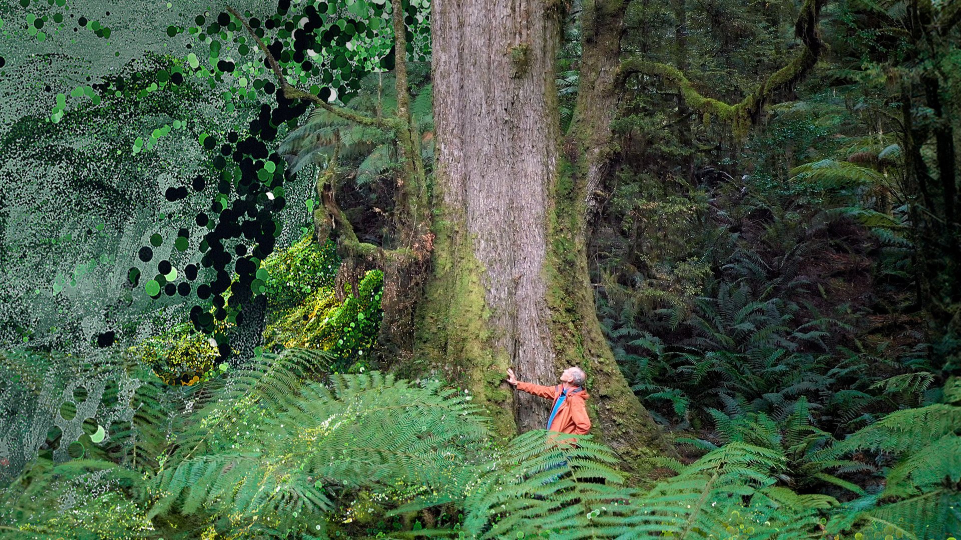 Filmstill "The Giants"